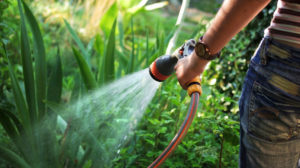 Stage 3 Water Restrictions